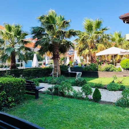 Godija & 4*